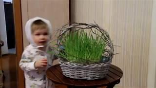 Поздравление с Пасхой от семьи Скворцовых и Шевцовых. Frohe Ostern!