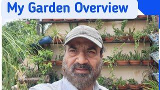 MY GARDEN OVERVIEW