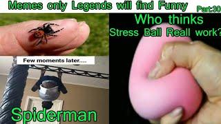 Memes only Legends will find Funny | v30