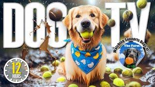 Dogs Playing at Daycare  12 Hours Calming Music for Dogs Anti Anxiety  Videos for Dogs  Dog TV