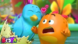 Booya Pengawasan Burung Kartun Lucu + Lebih Serial Komedi Untuk Anak