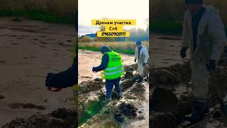 КАК СОСЕД УНИЧТОЖИЛ  УЧАСТОК. ДРЕНАЖ УЧАСТКА #стройка #участок #спб #дача #дренаж #строительство