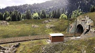 Unsere Modellbahn, Landschaftsbau, Wildwiesen und Neuzugänge