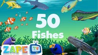 Ocean Adventures: 50 Fishes - Complete Compilation  || Zape TV