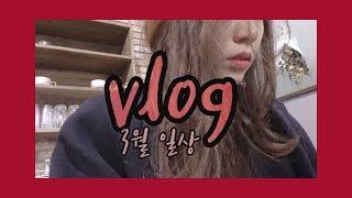 [ vlog ] 인바디의 충격따위 잊어버린 푸드빠이터 3월의 일상! ( 잠실 작살치킨, 천호동 스시야미 )