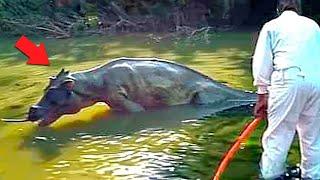 Fisherman Captured Lake Monster, What Happened Next Is Terrifying