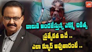 SP Balasubrahmanyam Tested Negative By ECMO Treatment.......| #SPBalaSubrahmanyam | YOYO TV Channel