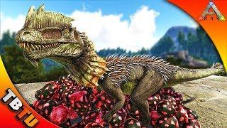 MASS DILO HATCHING! ARK DILOPHOSAURUS BREEDING AND MUTATIONS! Ark Survival Evolved Zoo