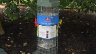 Perky-Pet® Evenseed™ Squirrel Dilemma Bird Feeder Instructional Video | Bird Feeder