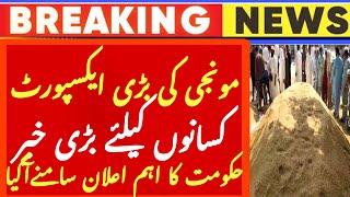 Today Wheat price in punjab//گندم کا ریٹ 2024/munji makki till sarso | munji rate update