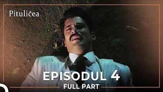 Pitulicea | Episodul 4