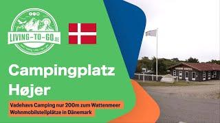  100 Meter vom Wattenmeer: Campingplatz Højer, pure Entspannung