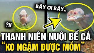 Quay BỂ CÁ CHILL CHILL, chàng trai khiến dân mạng thắc mắc BỘ HẾT CON NUÔI RỒI HẢ | Tin 3 Phút