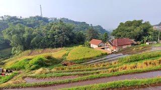 Bikin Ketagihan Berkunjung Ke Kampung Indah Alam Pedesaan Di Tanjungsari Sumedang