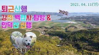 퇴근 산행.. 강진 백련사 & 만덕산 깃대봉에 오르다(도우미는 순둥이 백구)_2021. 04. 11, 일