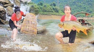 Catching Fish: Girl Catches Various Types of Fish and Harvests 20kg of Forest Bamboo Shoots to Sell