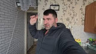 К Сафару пришла подруга с которой он иногда встречается. Работаем на даче.