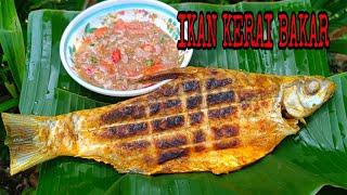 IKAN KERAI BAKAR CICAH AIR ASAM / IKAN KERAI BAKAR HASIL MEMANCING / IKAN MAHAL