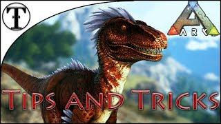 Fast Raptor Taming Guide :: Ark : Survival Evolved Tips and Tricks