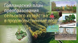 Голландский план преобразования сельского хозяйства в продовольственные леса!