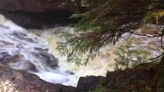 Poodle falls