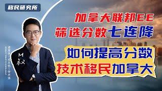 加拿大联邦EE筛选分数七连降，如何才能提高分数技术移民加拿大？#移民 #移民加拿大 #加拿大移民 #加拿大联邦EE #加拿大枫叶卡 #加拿大技术移民  #技术移民加拿大 #海外身份规划 #技术移民