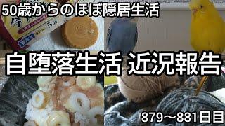 【雑感】隠居生活879～881日目［自堕落生活近況報告 2024.10.26～10.28］