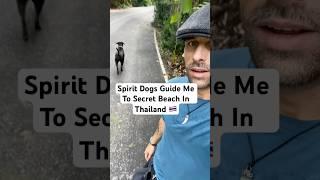 Spirit Dogs Show Me Secret Beach In Thailand #phuket