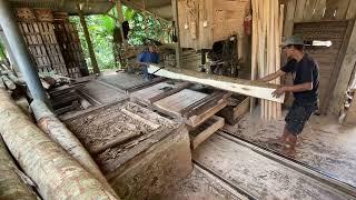 Cutting 3-Meter Albasia Logs into 5x5 Beams | Precision Sawmilling at Its Best