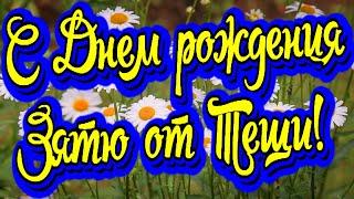 С Днем рождения зятю от тещи! Красивое поздравление в стихах, музыкальная открытка!