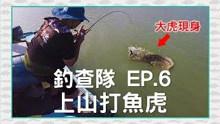 【CZB釣查隊EP.6】第一次釣 魚虎，沒想到被震撼教育！水表炸裂，CZB三人都開胡  Giant snakehead|小盾鱧|toman|曾文水庫|巨大雷魚