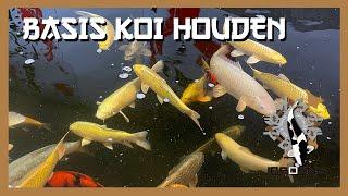 DE BASIS VOOR KOI HOUDEN! #732