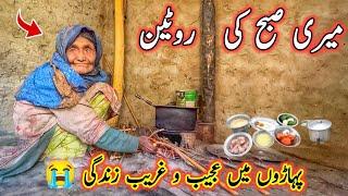 Life Of A Grandmother Alone in The Mountains Of Siachen | Very Difficult Life | Mud House | Village