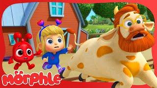 Giant Cow Chase!  | Morphle | Season 6 Finale | Kids Cartoon Video