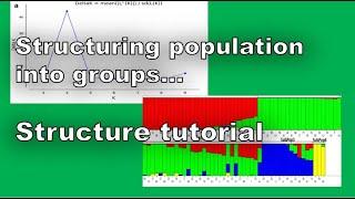 Learn to structure population into different groups. Check structure tutorial here. ||thephdguy||