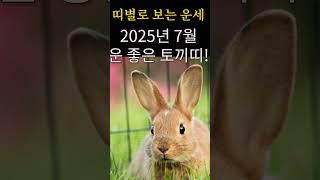 2025년7월 토끼띠운세 운 좋은 토끼띠 7월 한달 운세  #띠별운세