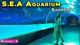 SEA Aquarium Singapore 2023 | Sentosa Island | Resorts World Sentosa | Singapore Travel Guide