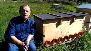 От колод к рамочным ульям, почему?  И владимирский улей как современная альтернатива колоде?