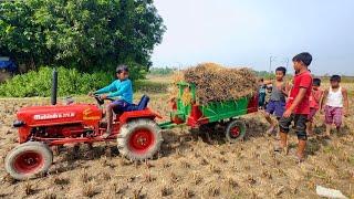 Went To Bring Paddy To The Field With Mini Tractor | Farmer Funny Video | Mini Tractor