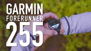 Garmin Forerunner 255 Review For Global Running Day