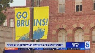 Over 300 student visas revoked at universities across the nation
