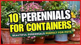  CONTAINER GARDEN MAGIC!  10 Beautiful Perennials Perfect for Pots - TRANSFORM Your Space! 