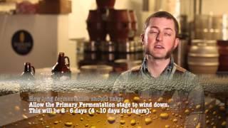 How to Brew Beer at Home - Fermentation