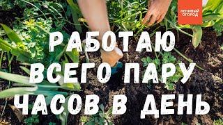 Огород без хлопот | Огородные работы НЕ более пары часов/день: перекопка, полив, прополка, подкормки