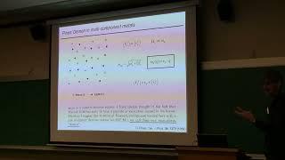 Peter Abbamonte - "Observation of Pines' Demon in Sr2RuO4 with Momentum Resolved EELS"