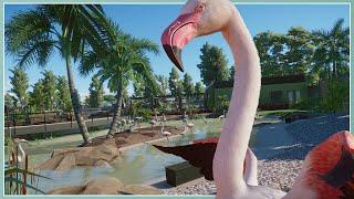 Greater Flamingo Habitat! | River Rock Zoo Remodel | Planet Zoo Speed Build