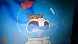 Sandy Cheeks crying compilation