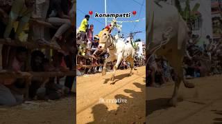 vellore eruthukattu whatsapp status #eruthukattu #jallikattu #velloreeruthukattu