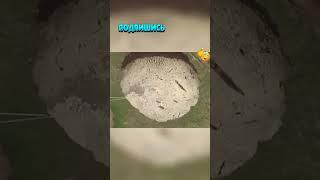Потрясения природы  Стихийные бедствия в реальном времени #реальныеистории #факты #интересно