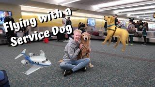Flying with a Service Dog || Guide Dog Edition